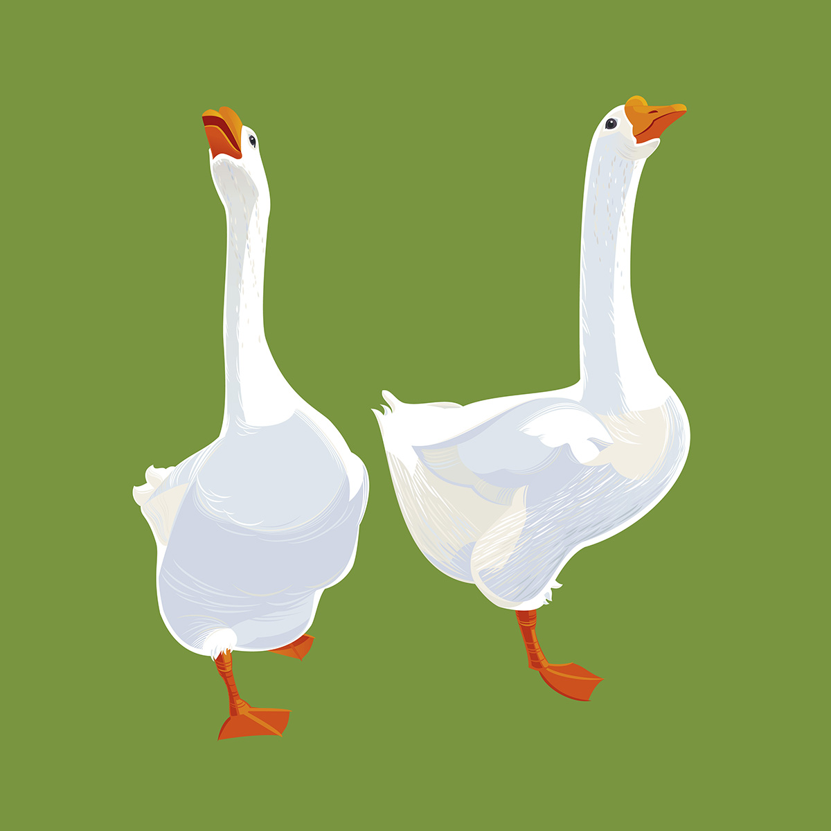 Rusanovska Vector Illustration Two Geese